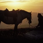 Horse riding in the alpine high country at sunset