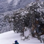 Cross Country skiing at Mt Buller, using Merrijig's accommodation as your base