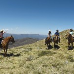 Horse riding in the High Country around Mt Buller